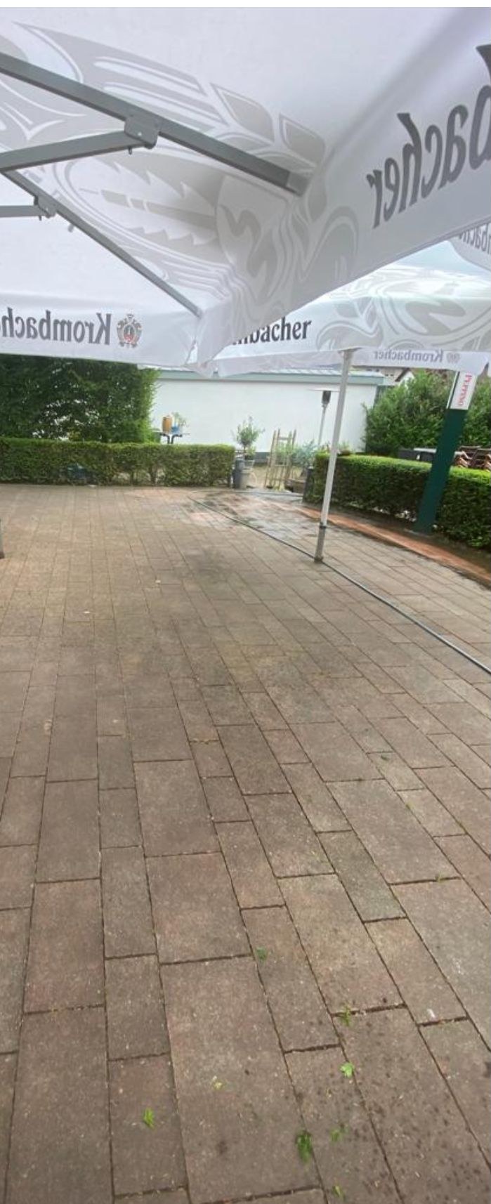 Verschmutzte Pflasterfläche einer Außenterrasse mit Grünbelag und Fugenunkraut vor der Reinigung